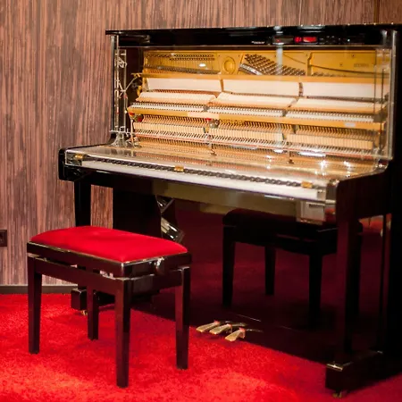 أم هوبفينسي فندق